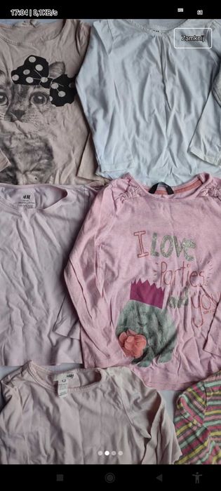 Paka ubrań Bluzki koszulki długi rękaw roz 98 104