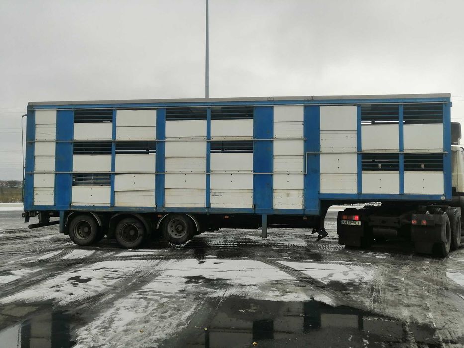 Скотовоз | Полуприцеп для перевозки живых животных