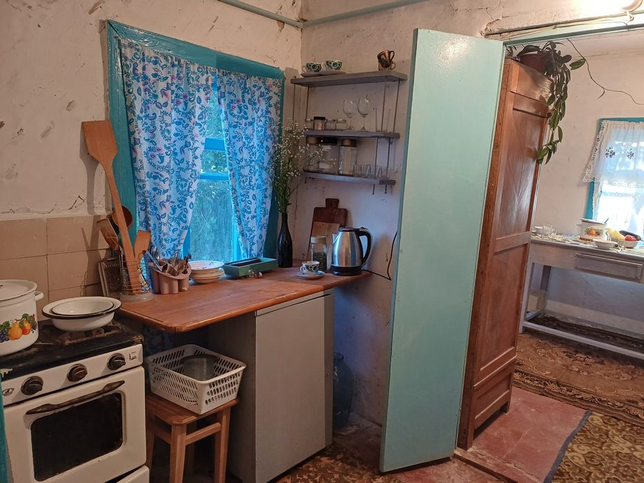 Продам будинок в с. Виблі