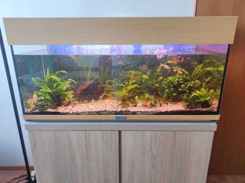 akwarium eheim 200l z szafką