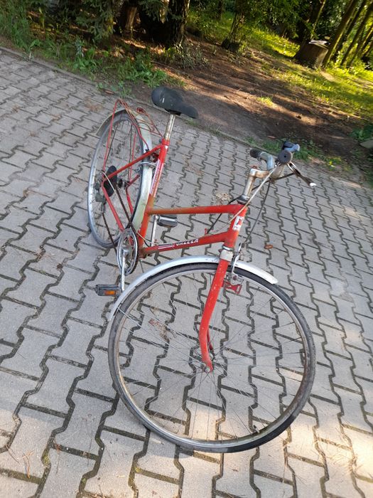 Rower Gazela  damski