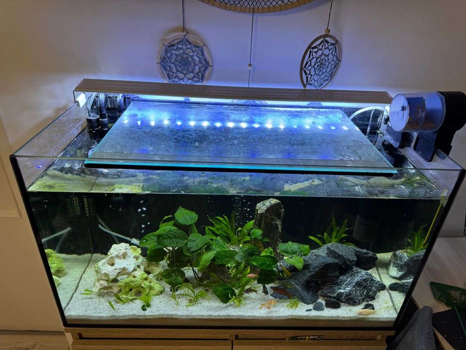 Akwarium z szafka .żywe