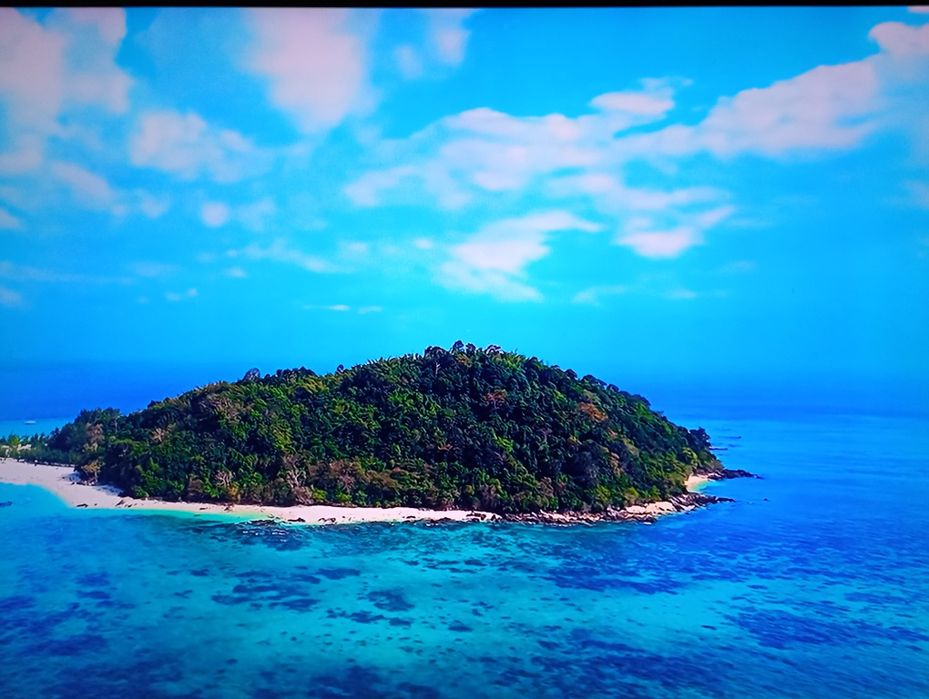 Samsung UE55JS8005 4k