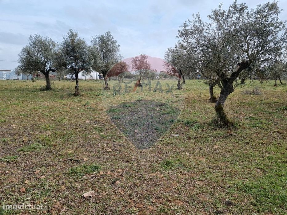 Terreno  para venda