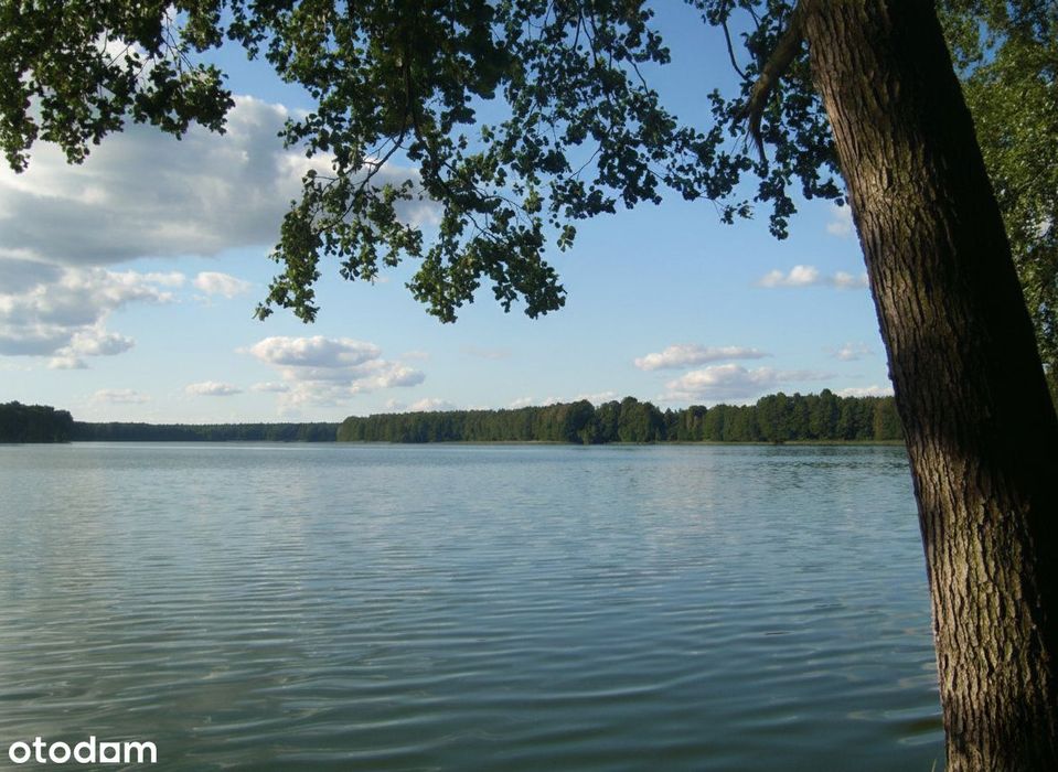 Duża działka (2746 m²) w sercu Puszczy Noteckiej – blisko jeziora!