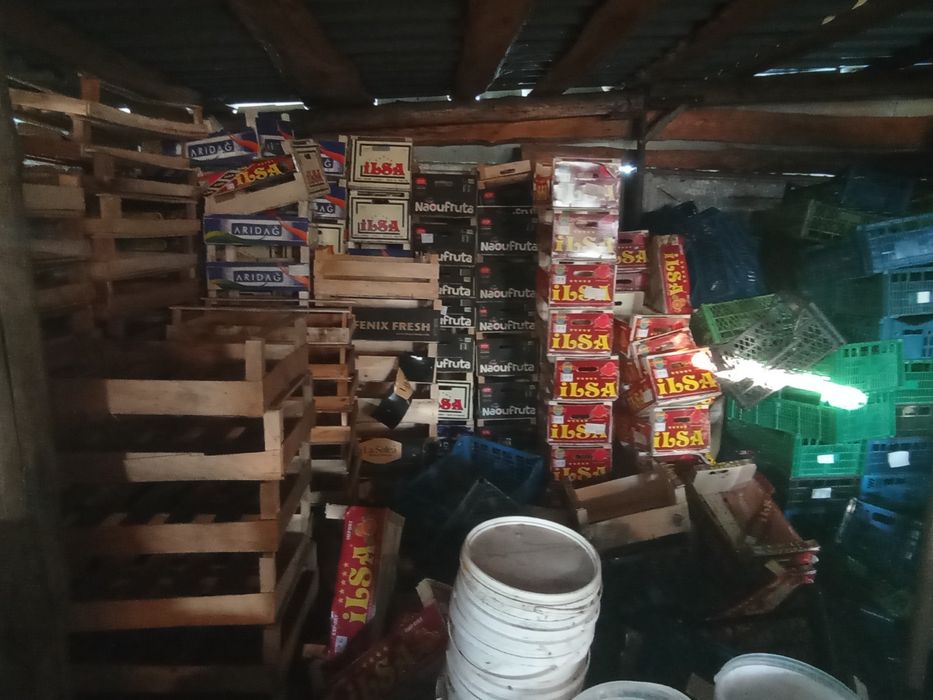 Продам ящики пластикові дерев'яні