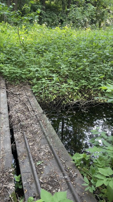 Продаю будинок в селі Перегонівка