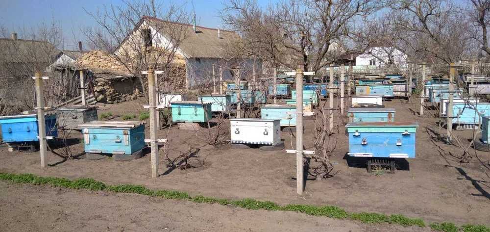 Продаються пусті вулики в гарному стані