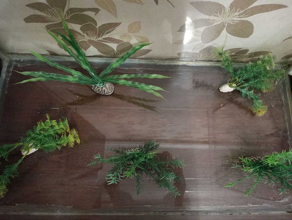 Продам бу акваріум.