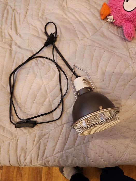 lampa Arcadia z osłoną