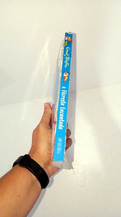 A Floresta Encantada