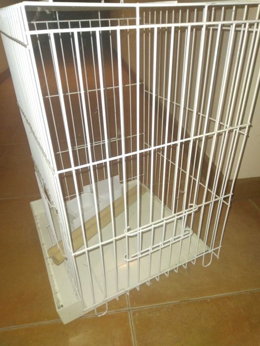 Gaiola de papagaio