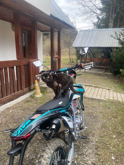 каяа 512 2025 року