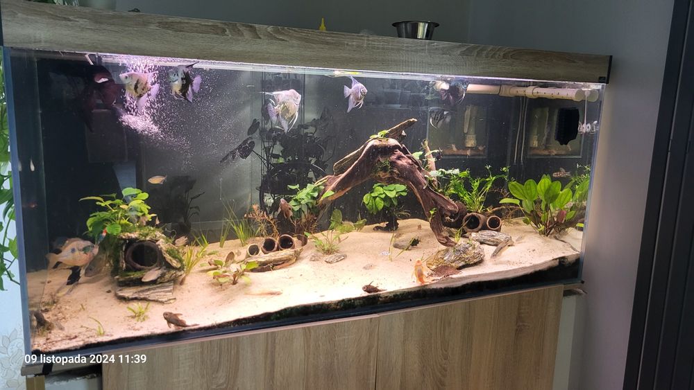 Akwarium 750 l 165x65x70h szkło Guardian