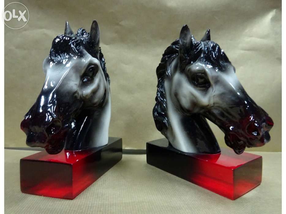 Ampara Livros - Conjunto 2 Cavalos