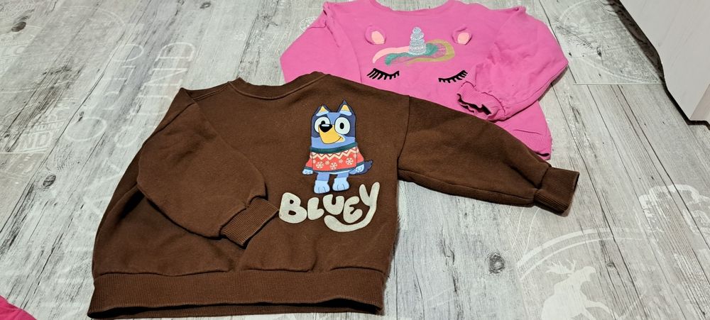 Zestaw ubrań dla dziewczynki 110/116 zara h&m sukienki bluzki legginsy