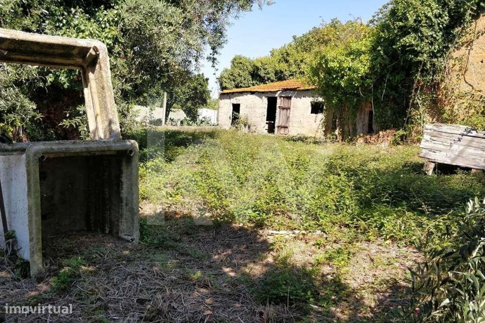 Terreno urbano para construção | 252m2 | entre Soure e Vila Nova de An