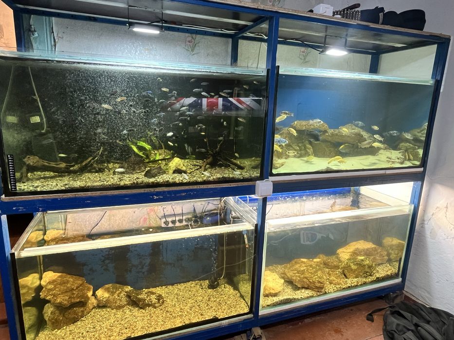 Акваріум Стойка на 4 акваріума по 250 л