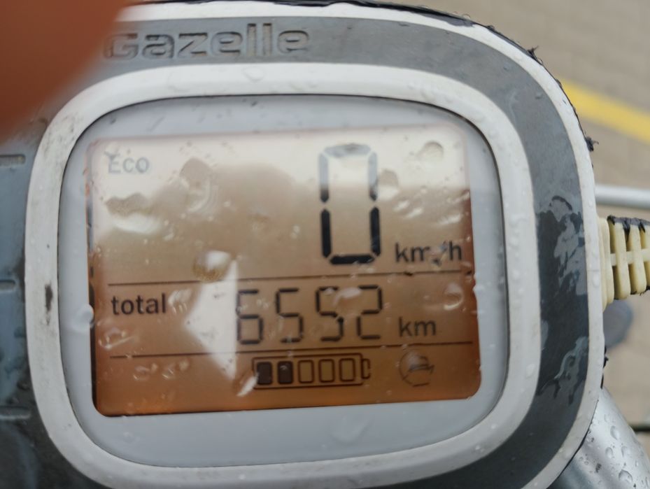 Rower gazele elektryk