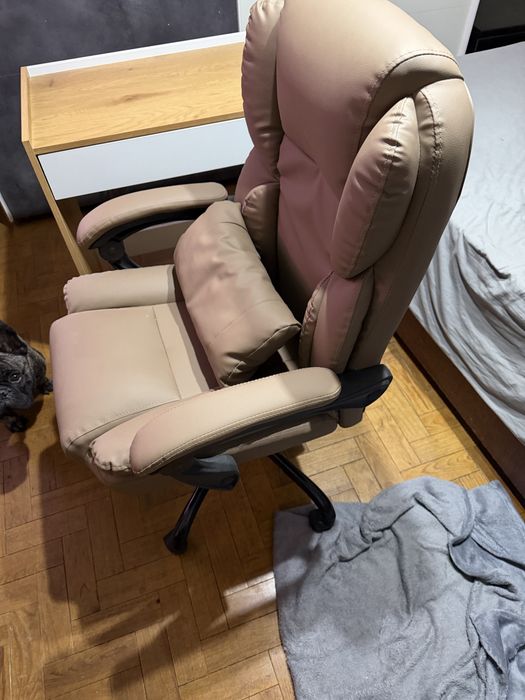 Cadeirão ergonómico reclinável + secretária — Como novos