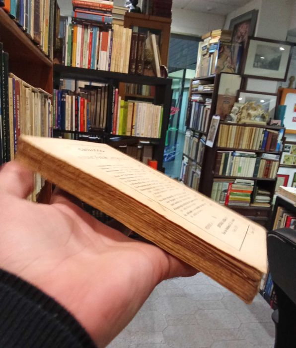 Inglaterra: Estrutura Física e Mental - Pedro Fazenda