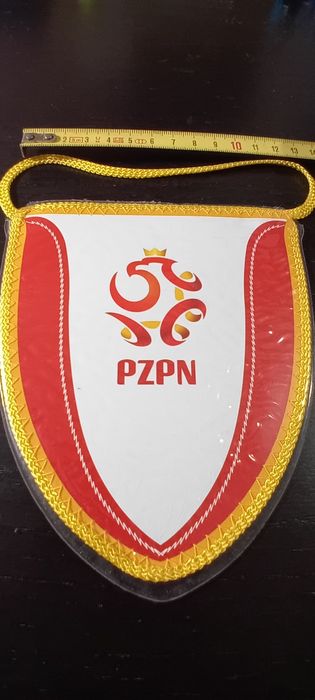 Galhardete polonia (futebol)