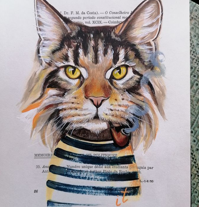 Desenho o seu animal preferido numa folha de livro de modo artístico.