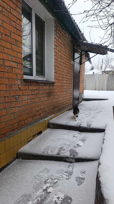 Здам будинок пряд метро Армійська