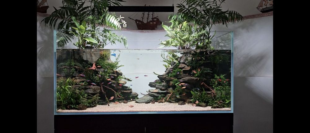 Aquário 590litros 140x65x65  vidro extra claro  com móvel acessórios e  rochas