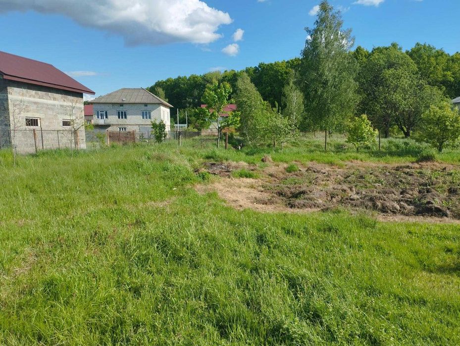 Земельна ділянка в с. Раневичі під забудову