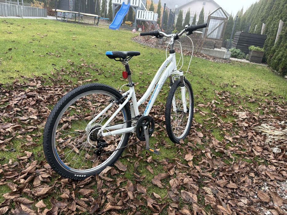 Rower Kross Modo 1.0 26 cali