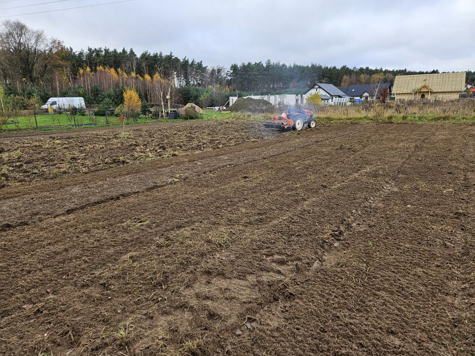 Frezowanie pni, wycinka drzew, uslugi ogrodnicze, glebogryzarka separa