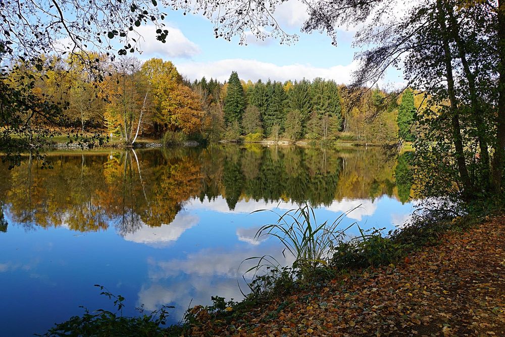 Sprzedam działkę budowlaną - Widok 3