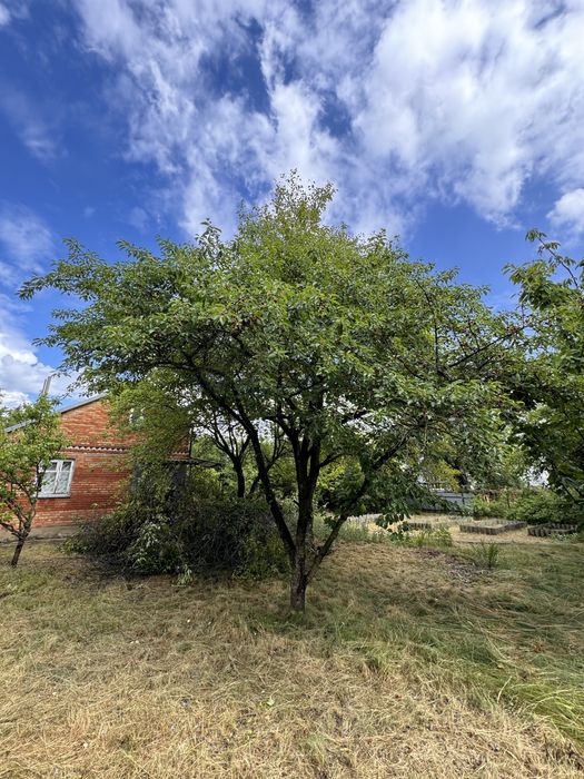 Продається дача в с. Піщанка