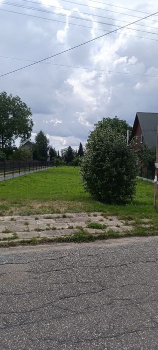 Zdjęcie 3