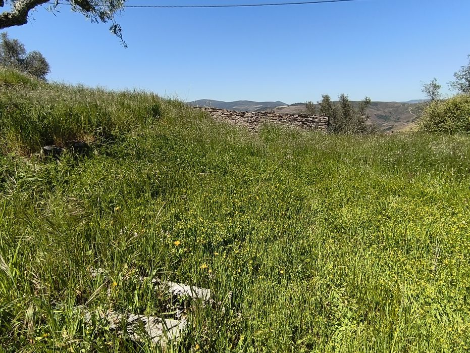 Terreno Urbano em Tabuaço