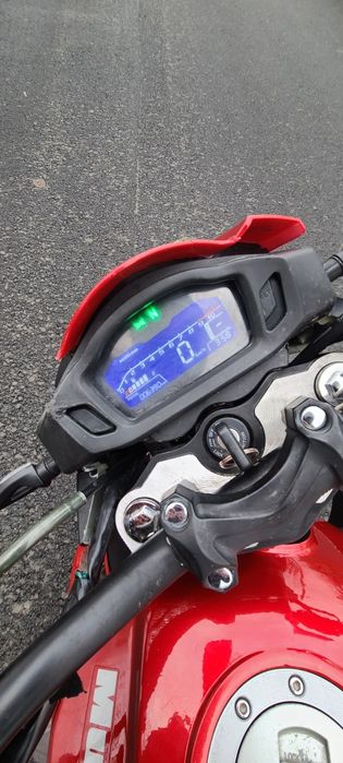 Продаю Mustang region (fortuna) 200