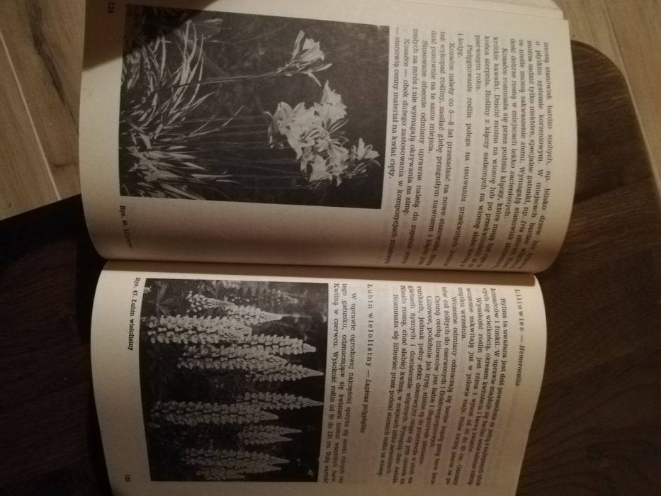 Książka 1985 Fitocentologia