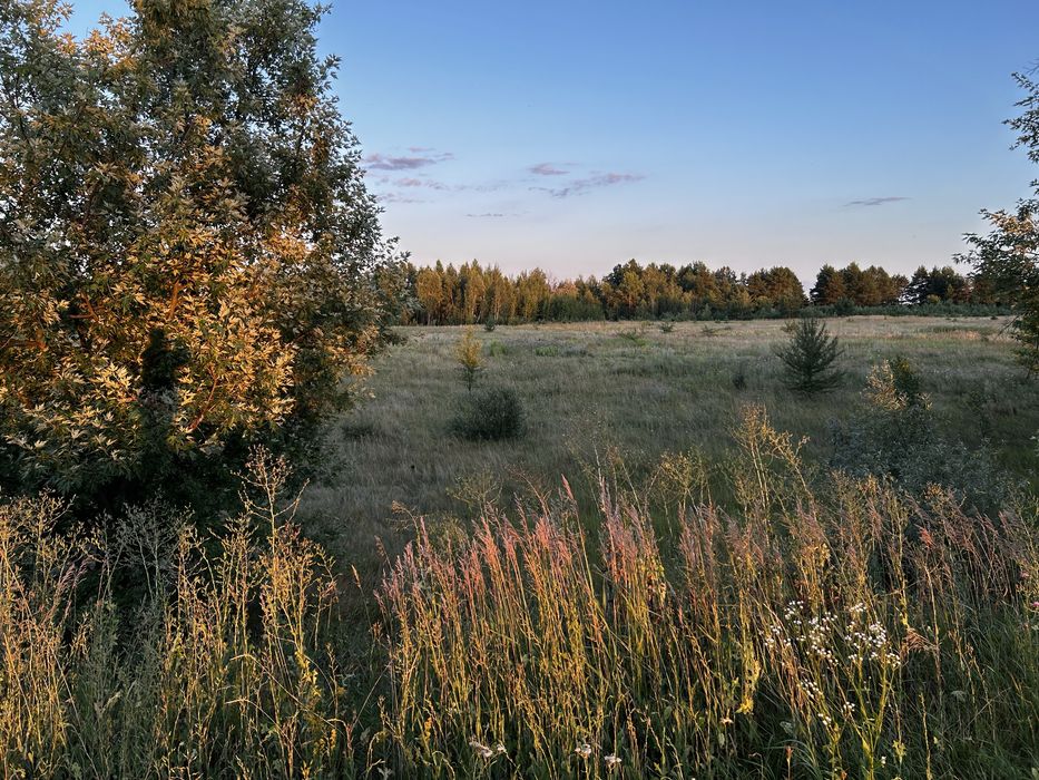 Продам земельну ділянку 20 соток під забудову | с. Жукин, Вишгородський район