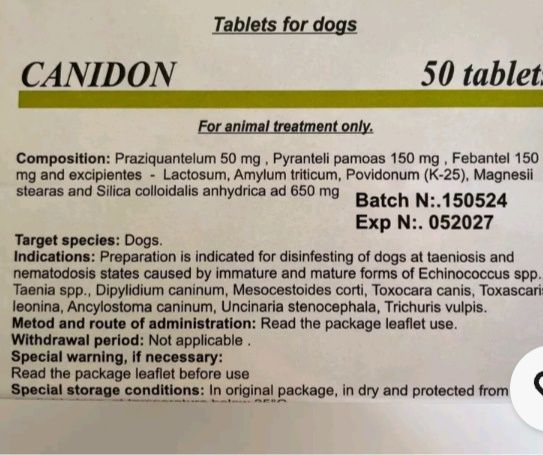 Desparasitante interno cães