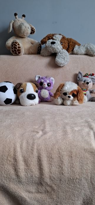 Zestaw zabawek pluszowych misie komplet w całości .