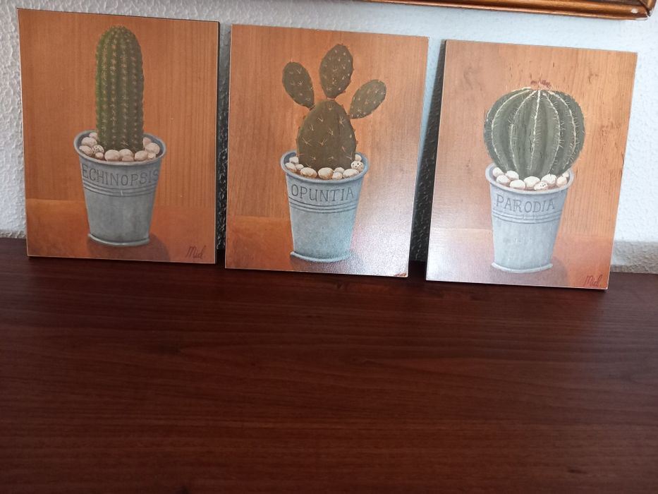 Quadros com imagens de cactos (3)