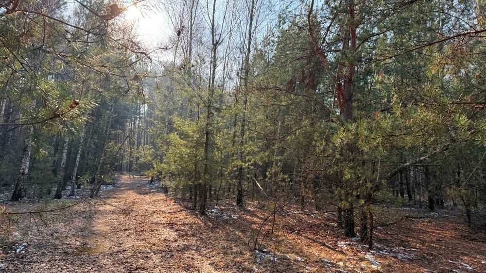 Земля серед лісу для прекрасного життя! 20хв до Києва! 4100$