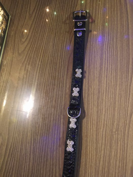 Ошейник кожаный .