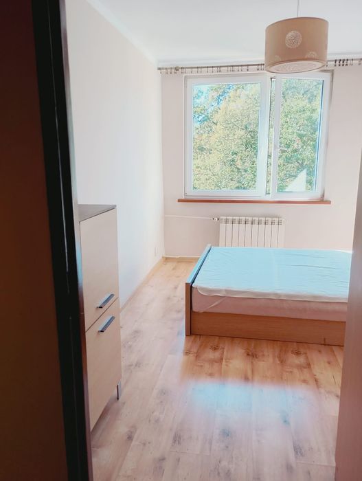 Mieszkanie do wynajęcia