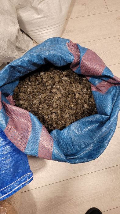 Zestaw makuch i olej konopny paszowy  z nasion konopii