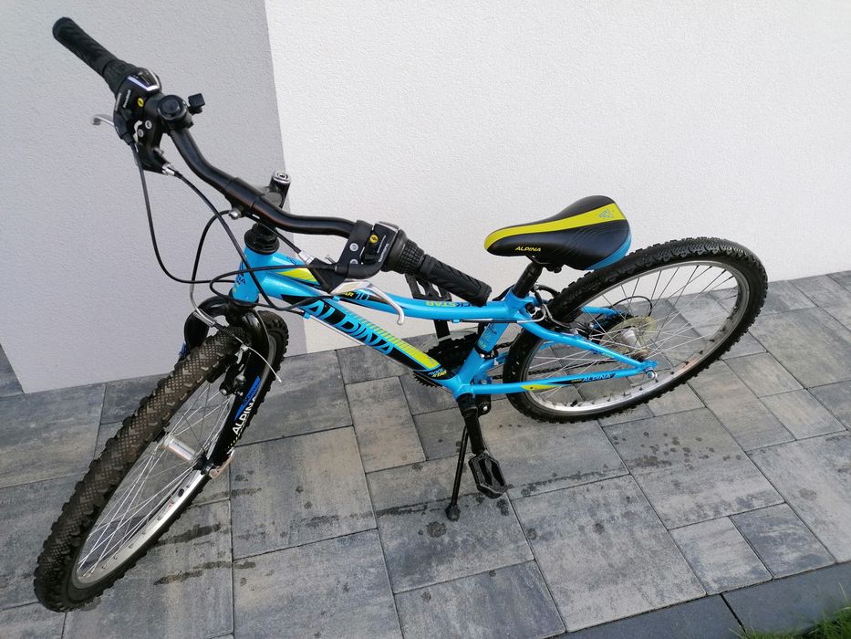 Rower Alpina Rockstar 10