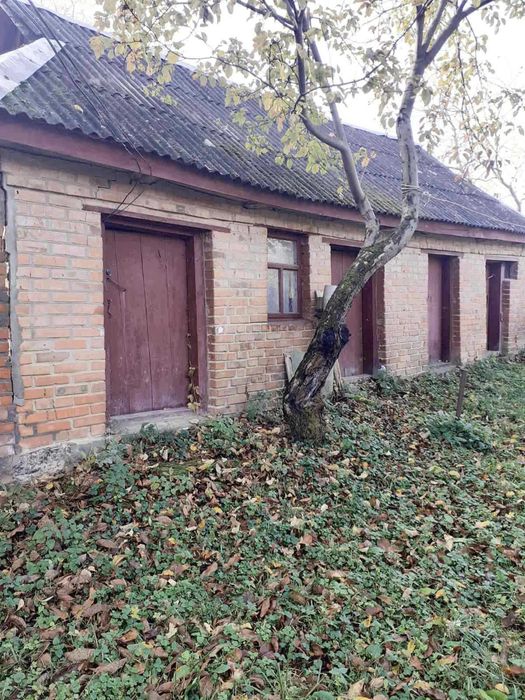 Продам будинок в Сокиринцях 9448
