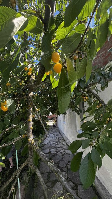 Затишна частина будинку в Терешках (передмістя Полтави)