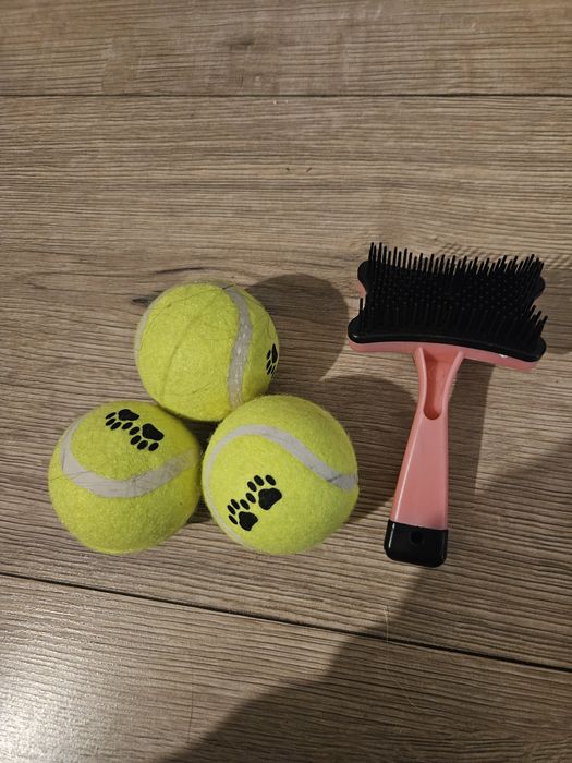 Piłki dla psa do zabawy 3 szt. I szczotka do siersci